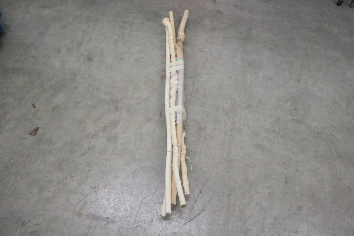 Walking Sticks