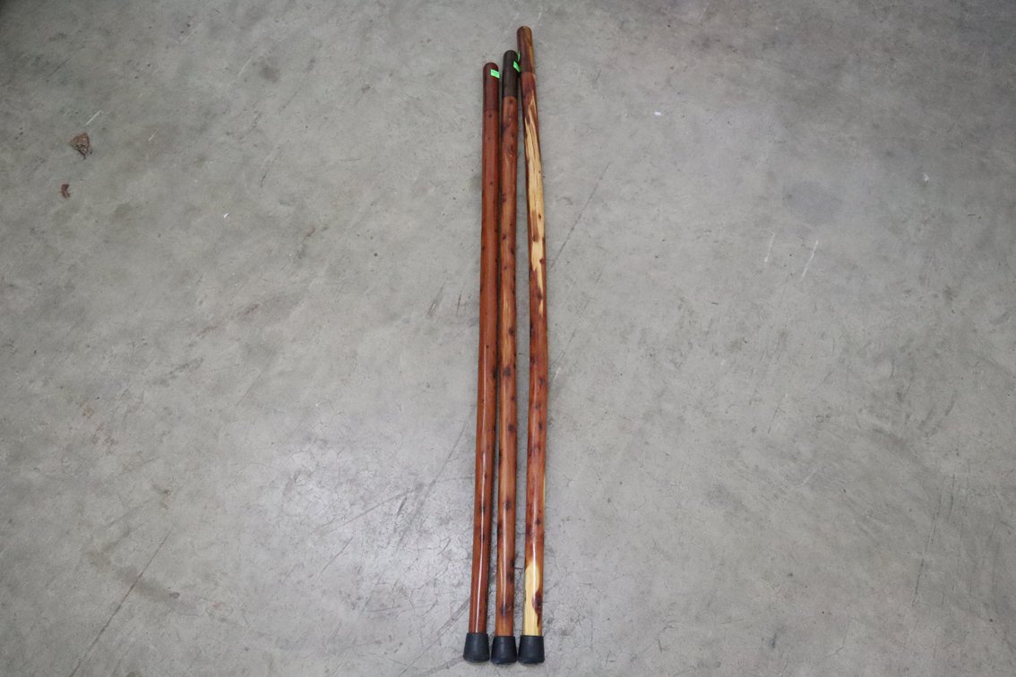 Walking Sticks