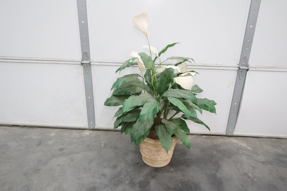 Artificial House Plant