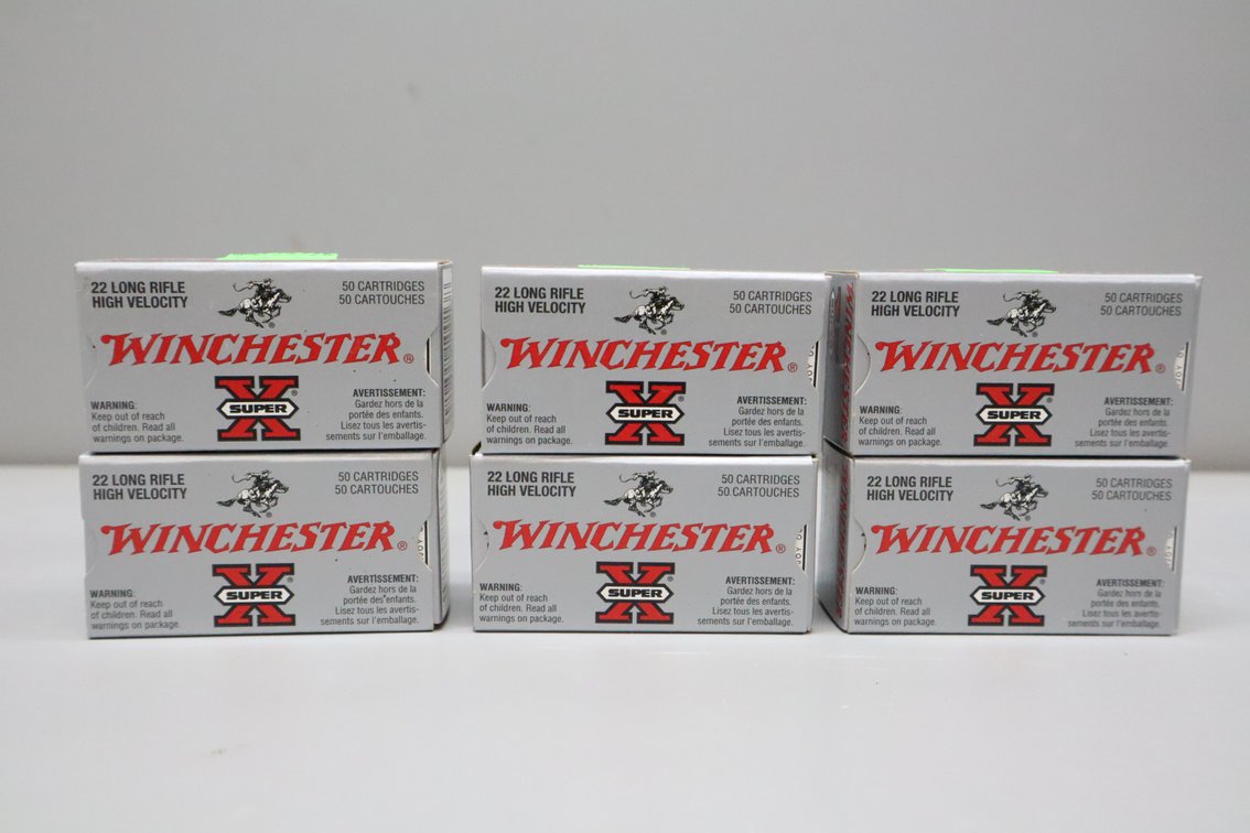 22 LR, 300 Rounds