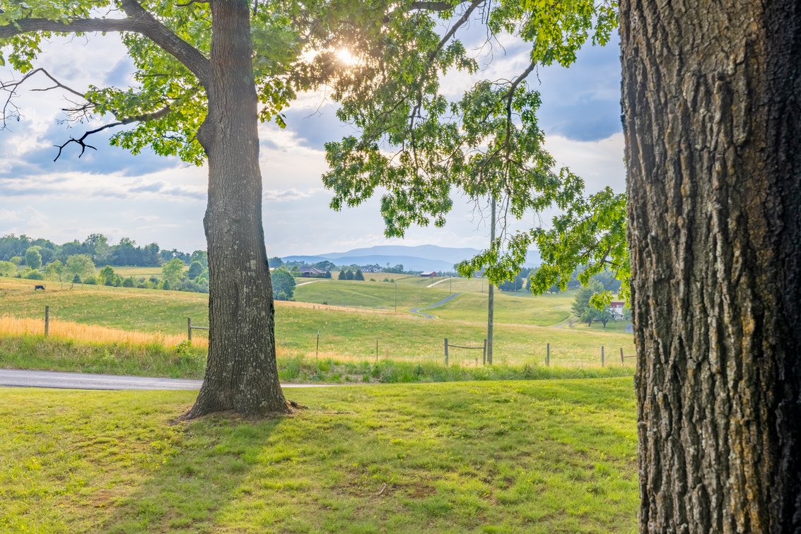 Image for 161 Dynamite Rd, Staunton Auction
