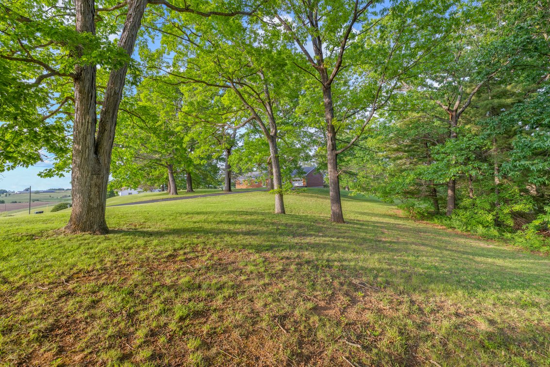 Image for 161 Dynamite Rd, Staunton Auction
