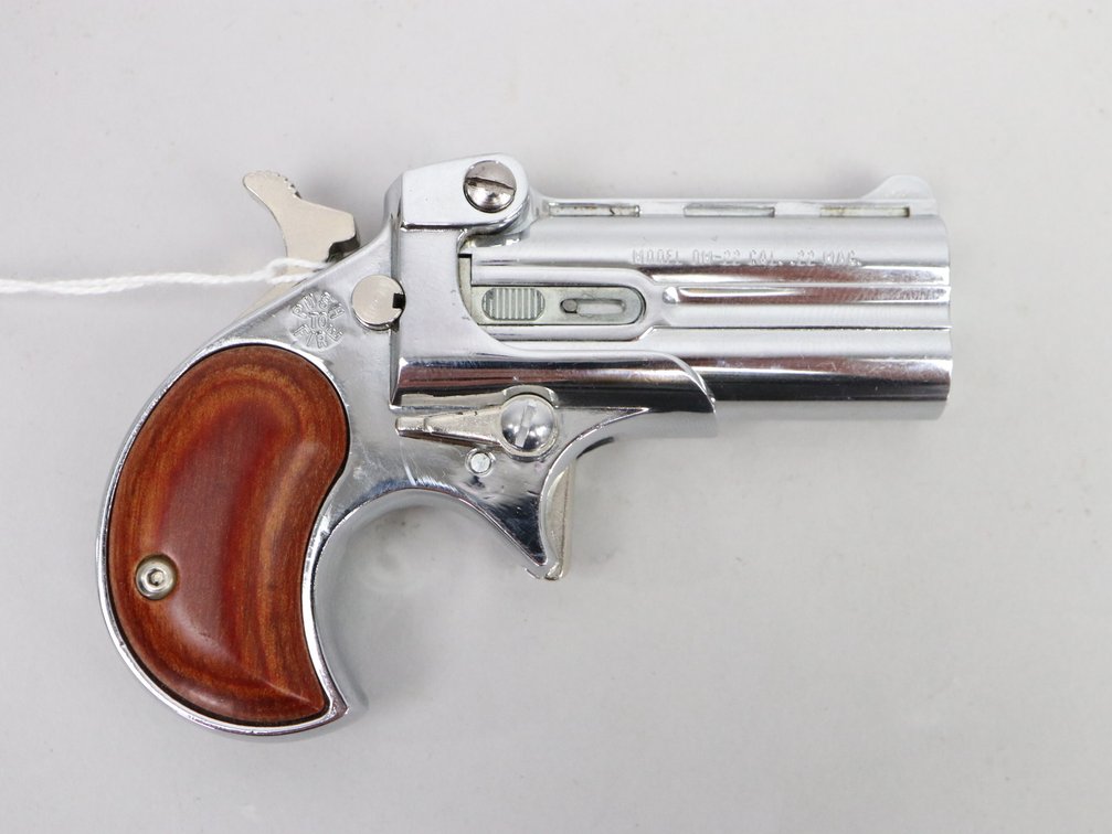 Davis Industries, DN-22, 22 Mag