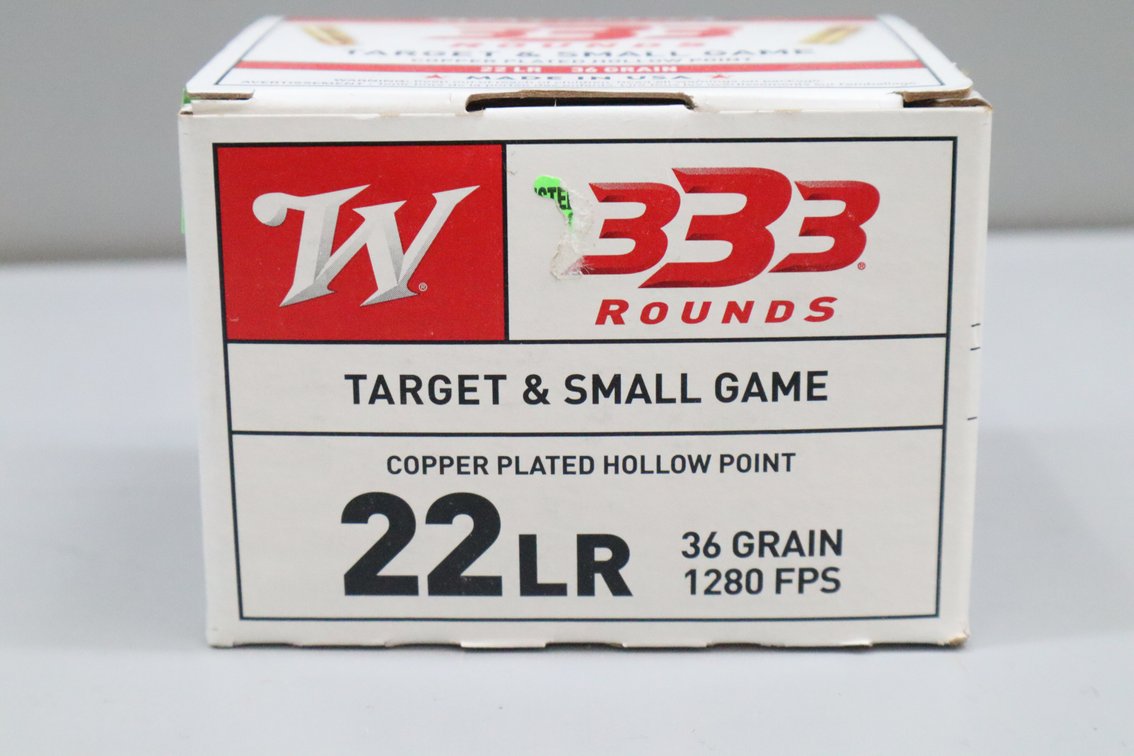 .22 LR