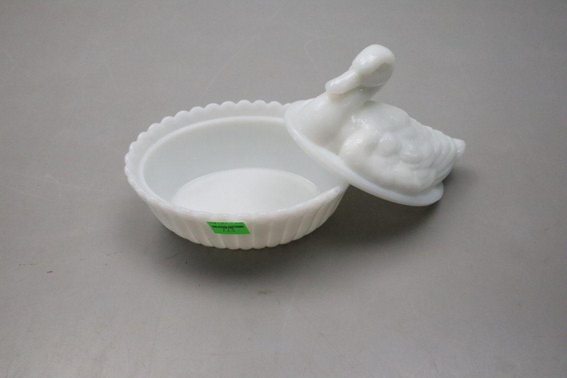 Duck On Nest