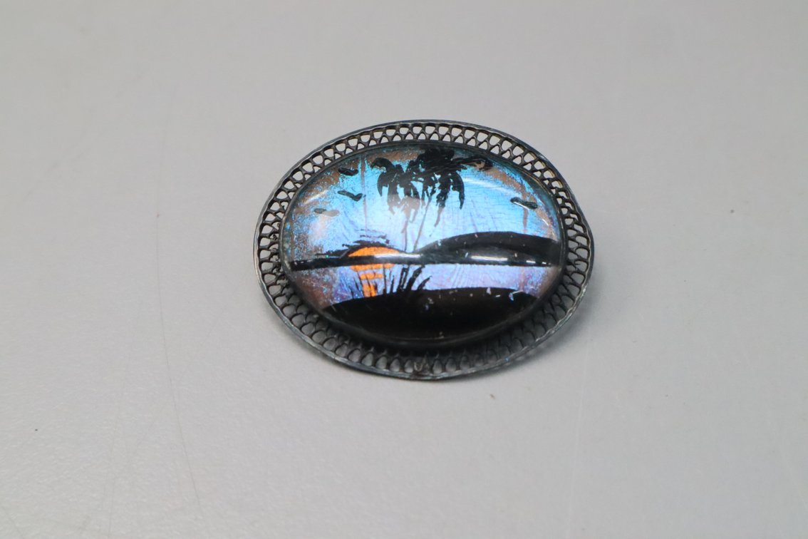 Earrings And Pin Set