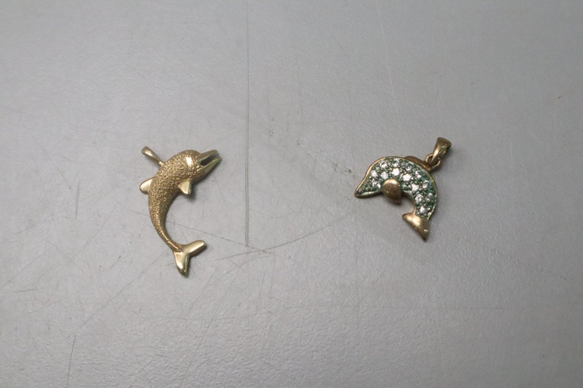 Dolphin Jewelry