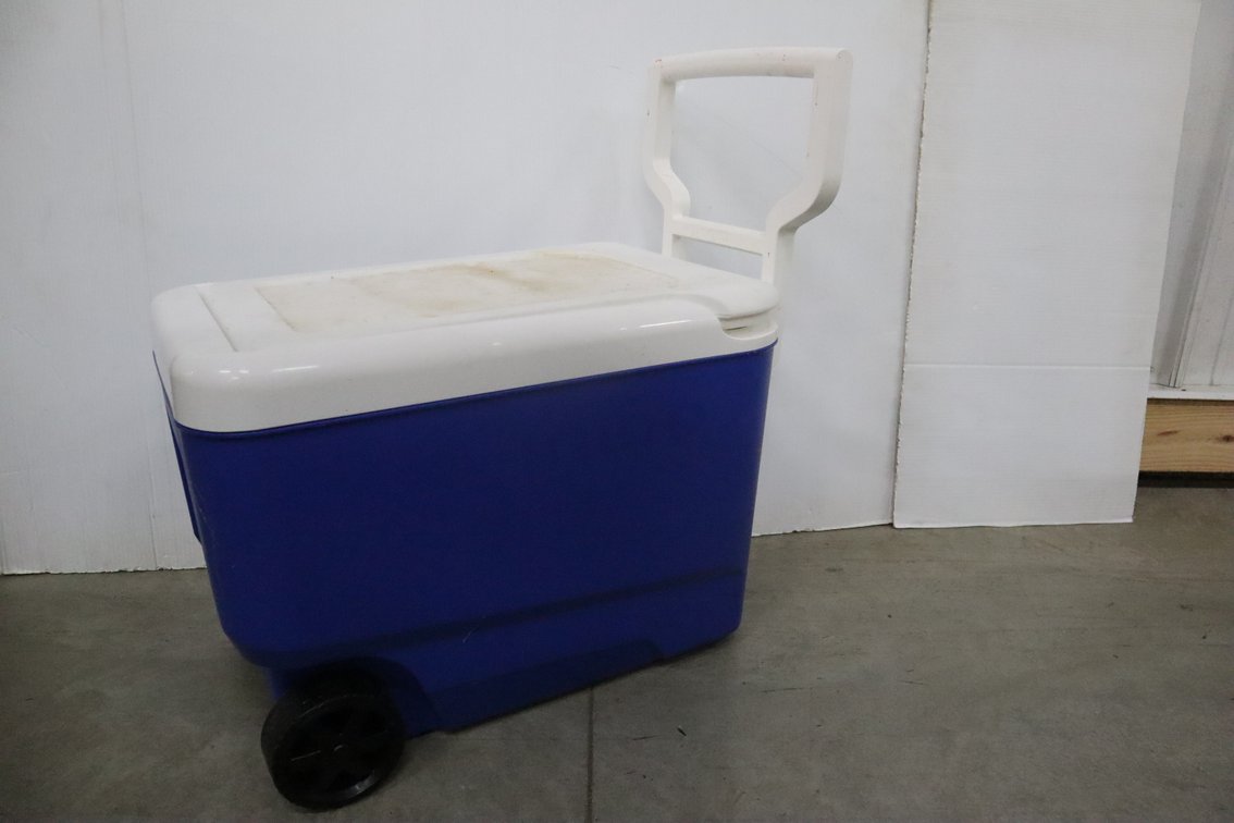 38 Quart Cooler