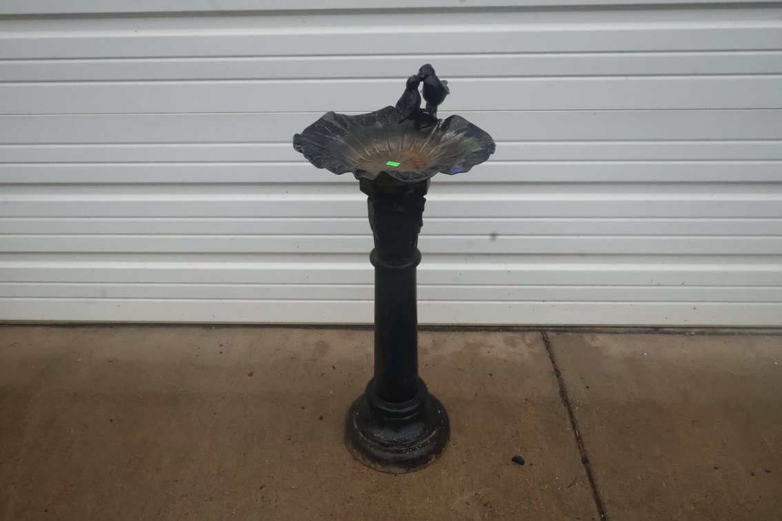 Bird Bath
