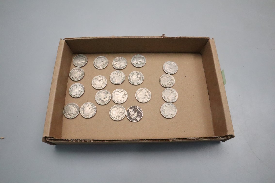 (20) Buffalo Nickels