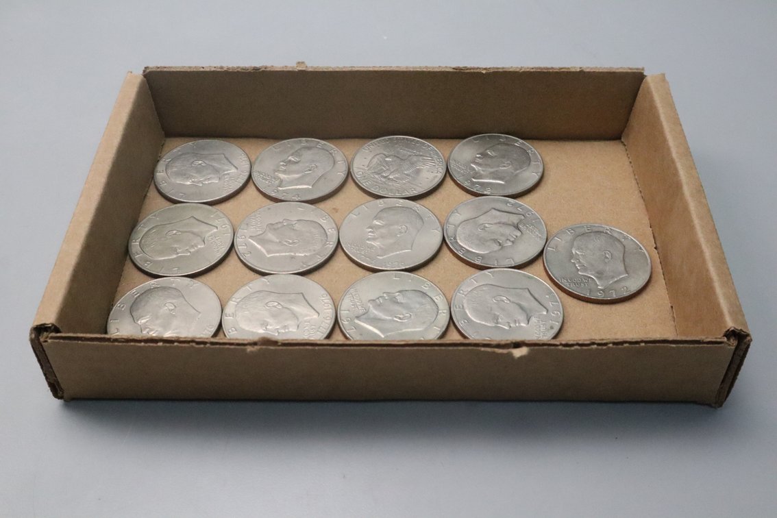 (13) Eisenhower Dollars
