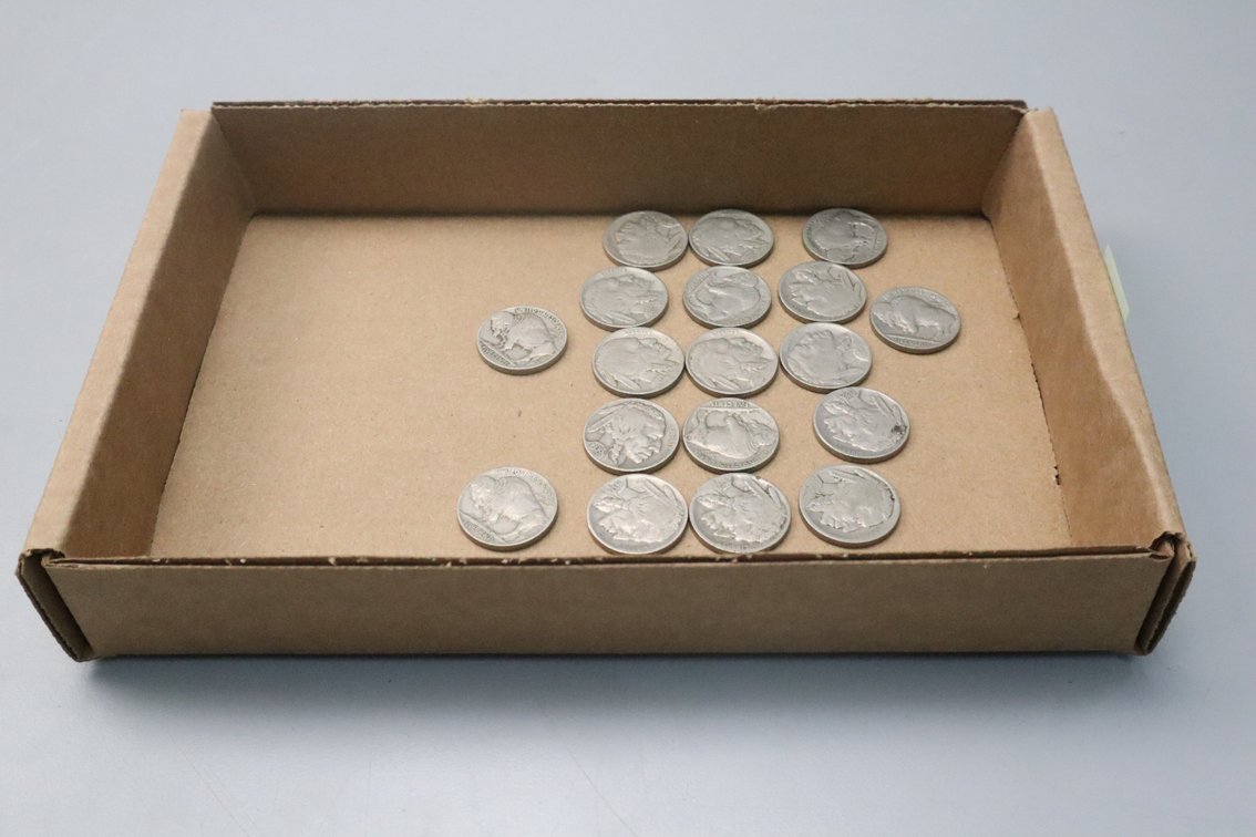 (18) Buffalo Nickels