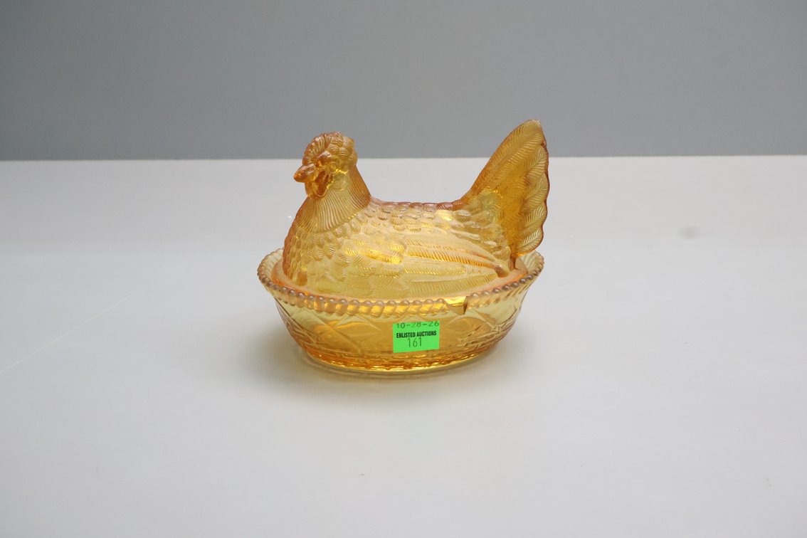 Amber Hen On A Nest