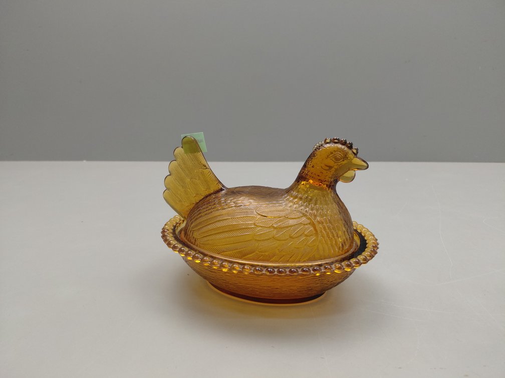 Amber Hen On A Nest