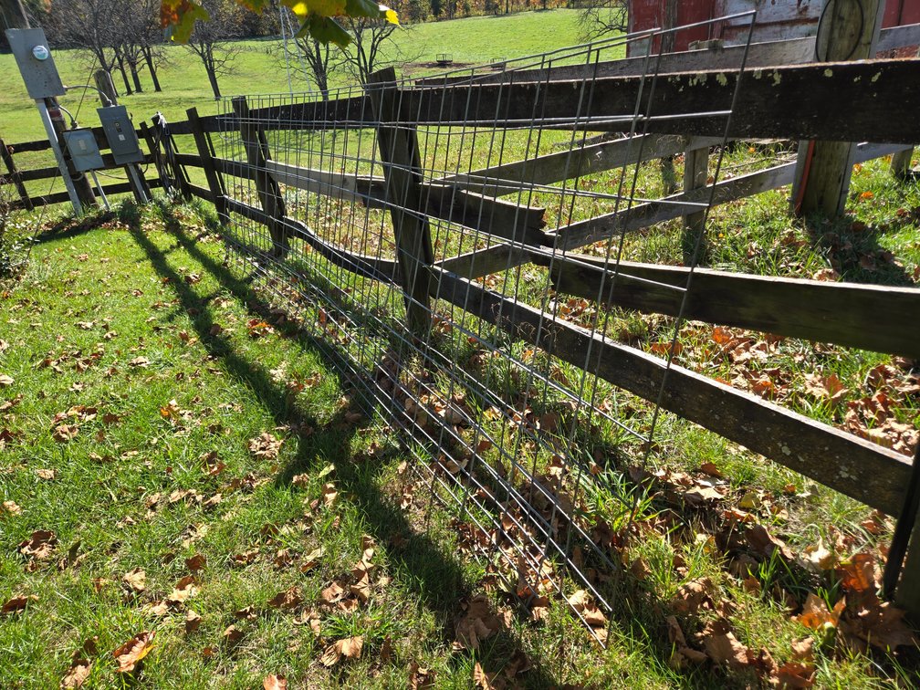 (2) wire cattle panels
