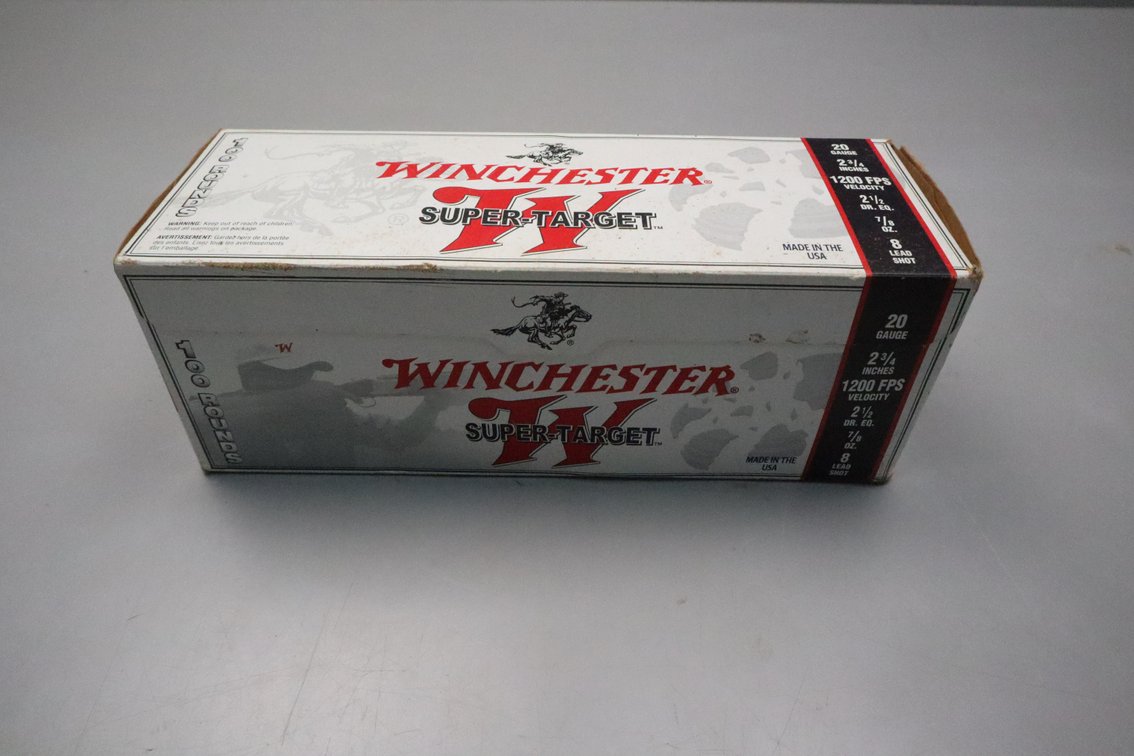 20 Gauge