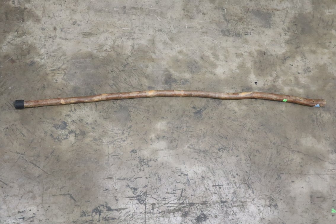 Walking Stick