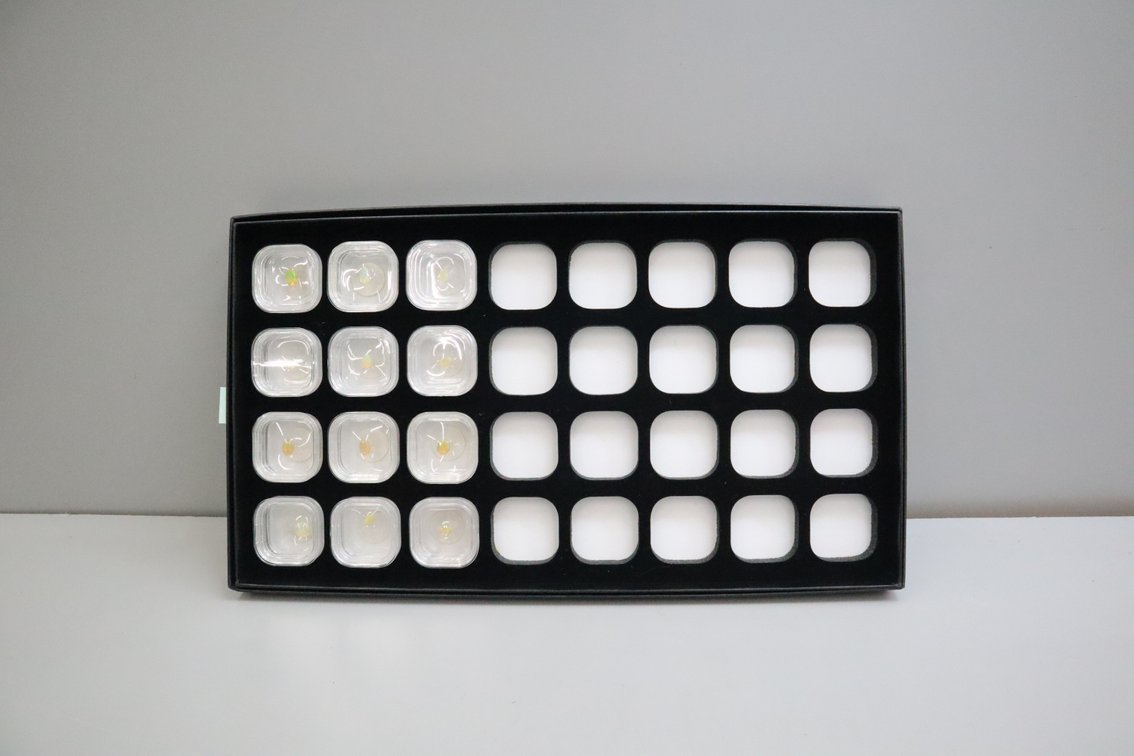 Group Of Gemstones