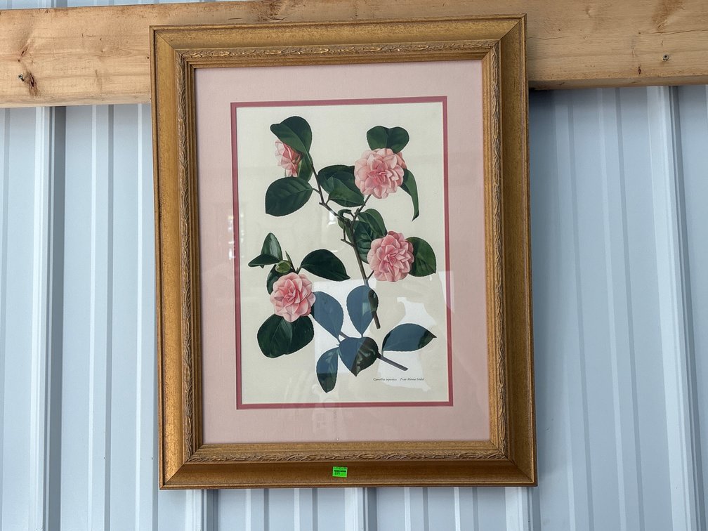 Print of Roses