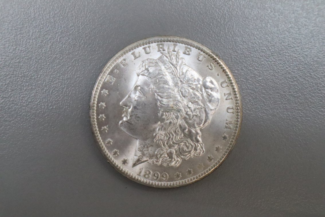 1899 Morgan Silver Dollar