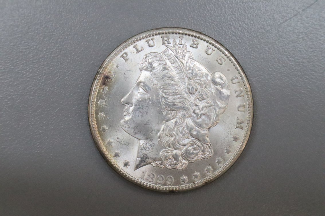1899 Morgan Silver Dollar