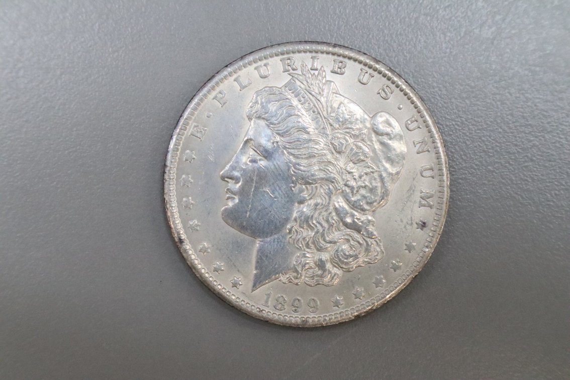 1899 Morgan Silver Dollar
