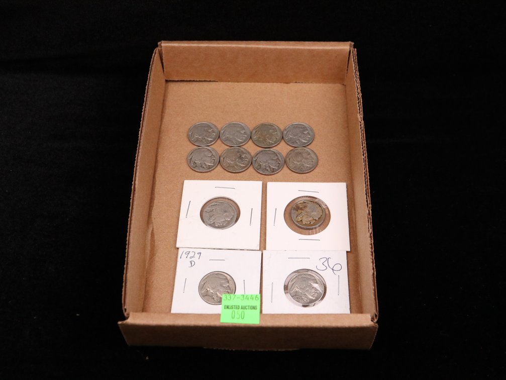 (12) Buffalo Nickels