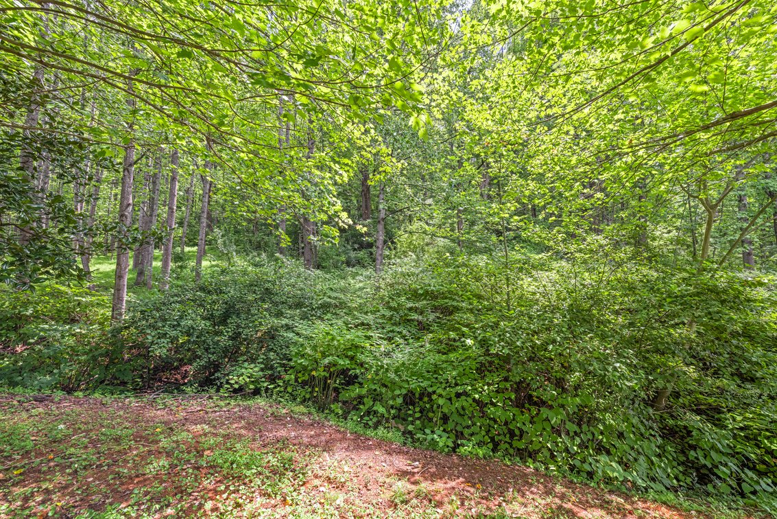 Image for 250 Ridge St, Lovingston Real Estate Auction
