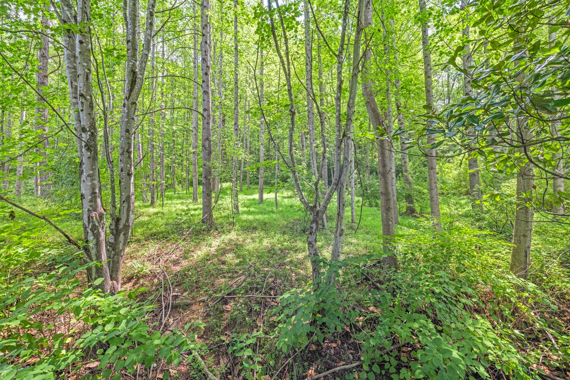 Image for 250 Ridge St, Lovingston Real Estate Auction
