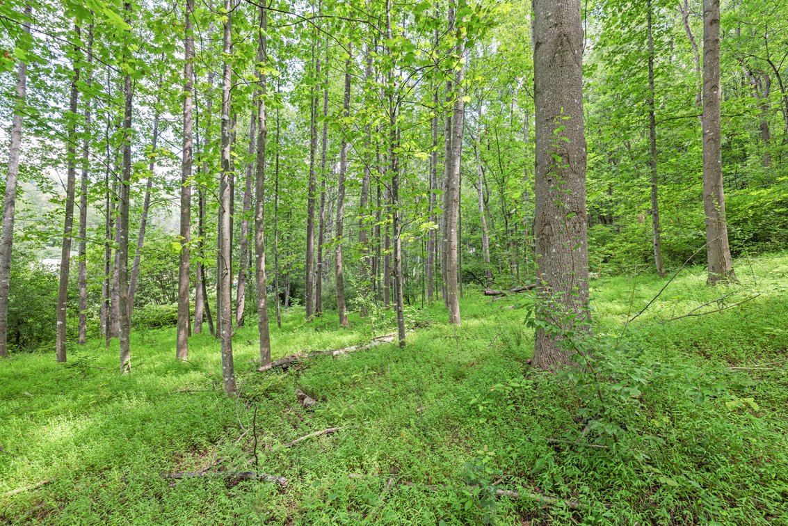 Image for 250 Ridge St, Lovingston Real Estate Auction