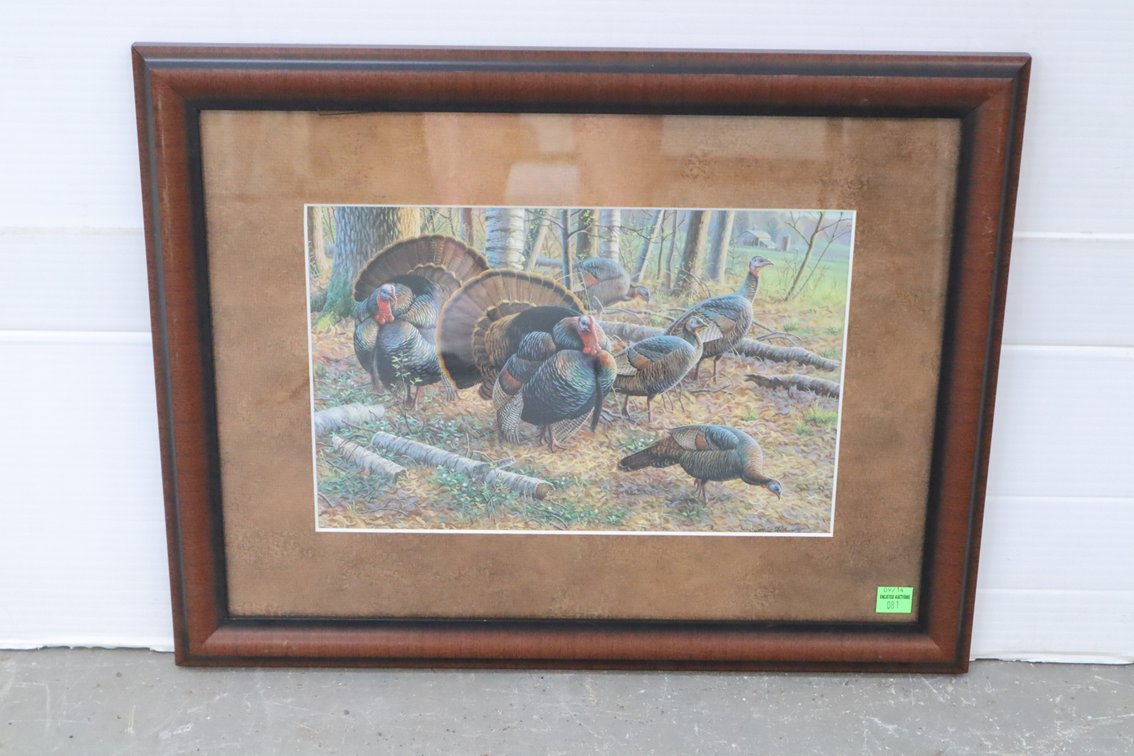 Wild Turkey Framed Print