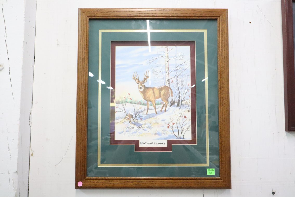 Lisa Geiman Framed Print