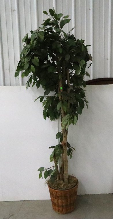 Artificial House Plant