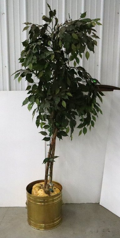 Artificial House Plant