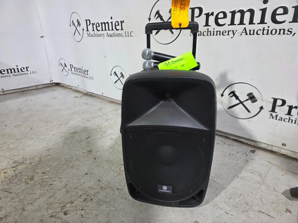 Proreck  Model Freedom12, Bluetooth Karaoke Speaker w/ Microphones.