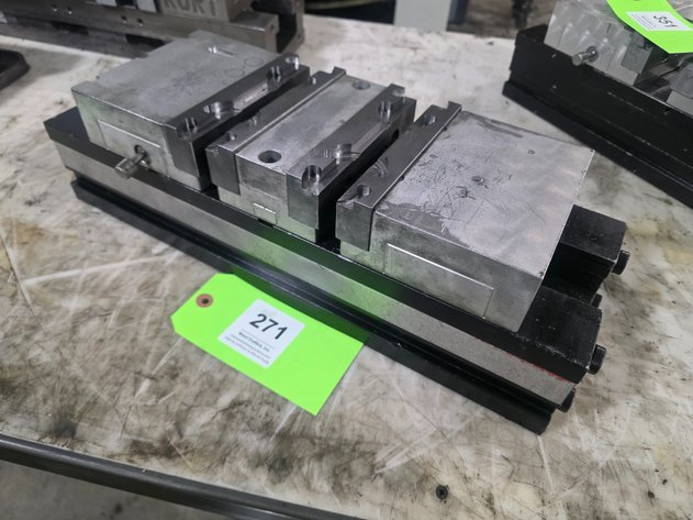 Image for Believed to be Chick 6