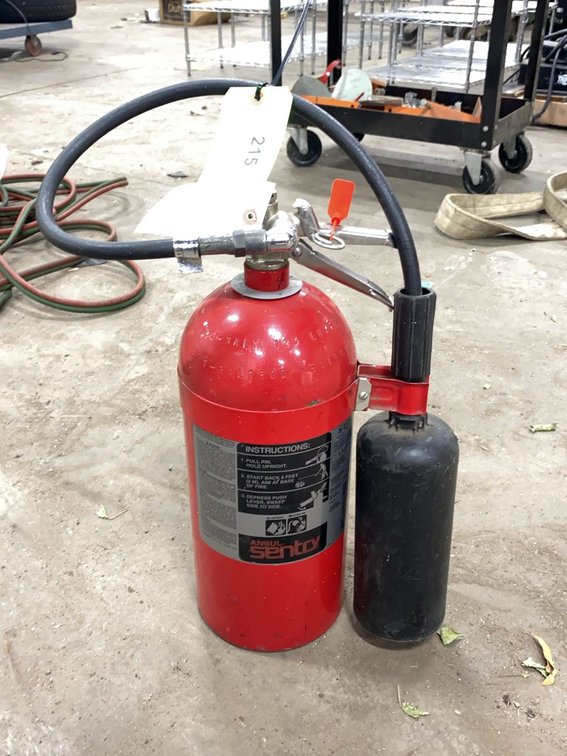 Ansul Sentry CO2 Fire Extinguisher