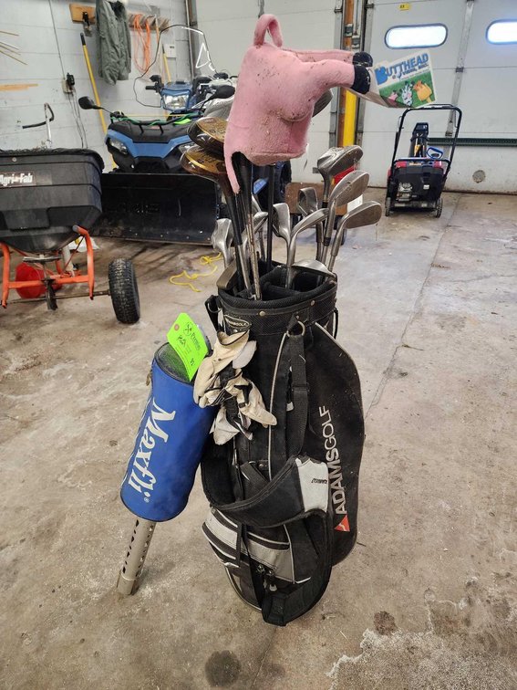 Set of Golf Clubs w/ Bag and Ball Grabber. 
