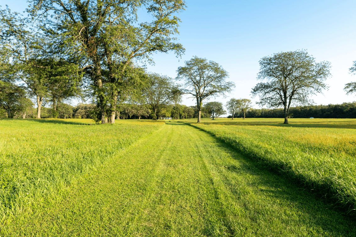 Image for 54.91± Acres - Kankakee Riverfront Development