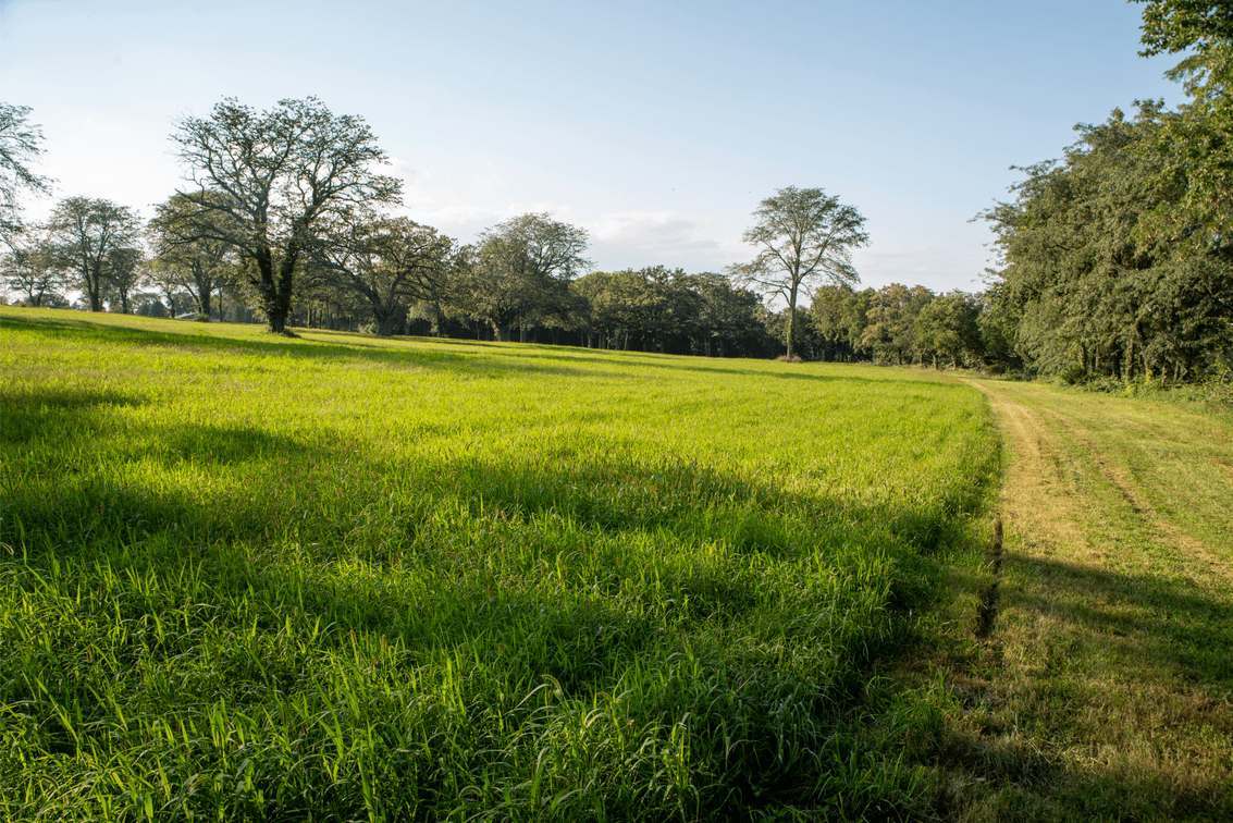Image for 54.91± Acres - Kankakee Riverfront Development