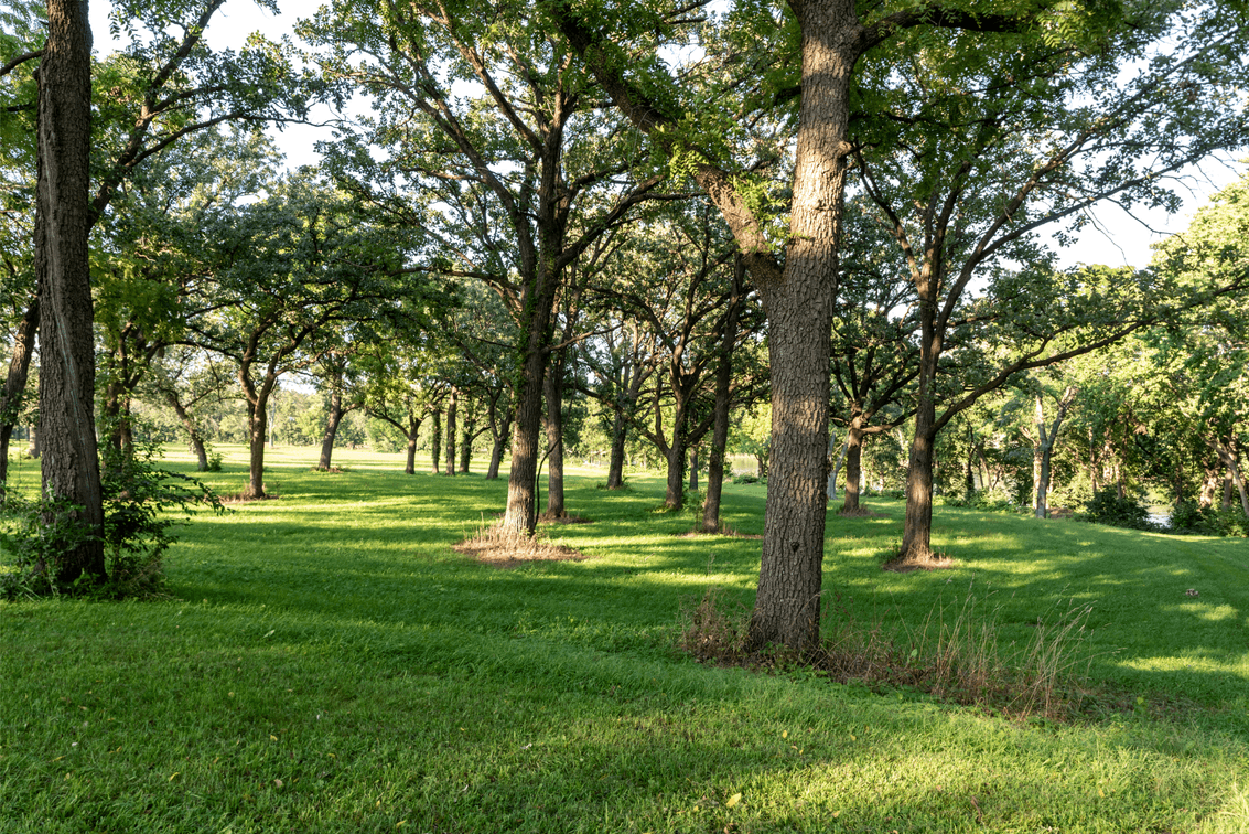 Image for 54.91± Acres - Kankakee Riverfront Development