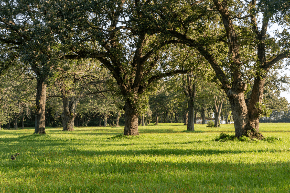 Image for 54.91± Acres - Kankakee Riverfront Development