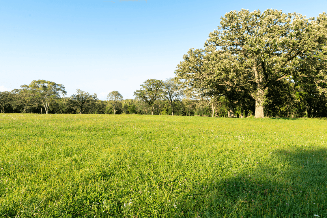 Image for 54.91± Acres - Kankakee Riverfront Development
