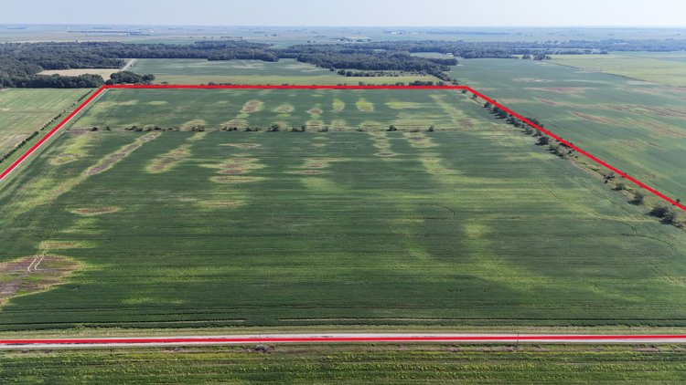 Image for 112.06± Acres Iroquois Township, Iroquois County, IL