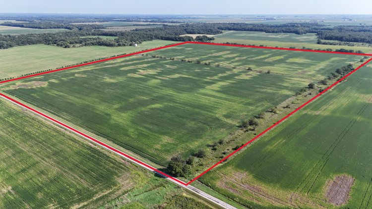 Image for 112.06± Acres Iroquois Township, Iroquois County, IL