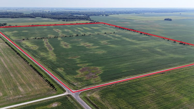 Image for 112.06± Acres Iroquois Township, Iroquois County, IL