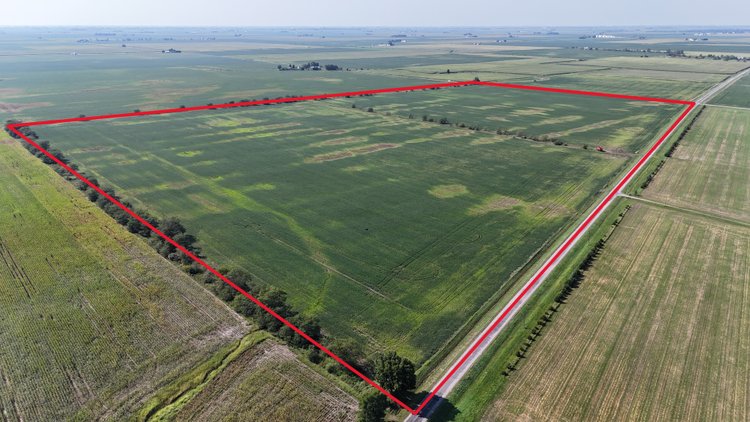 Image for 112.06± Acres Iroquois Township, Iroquois County, IL