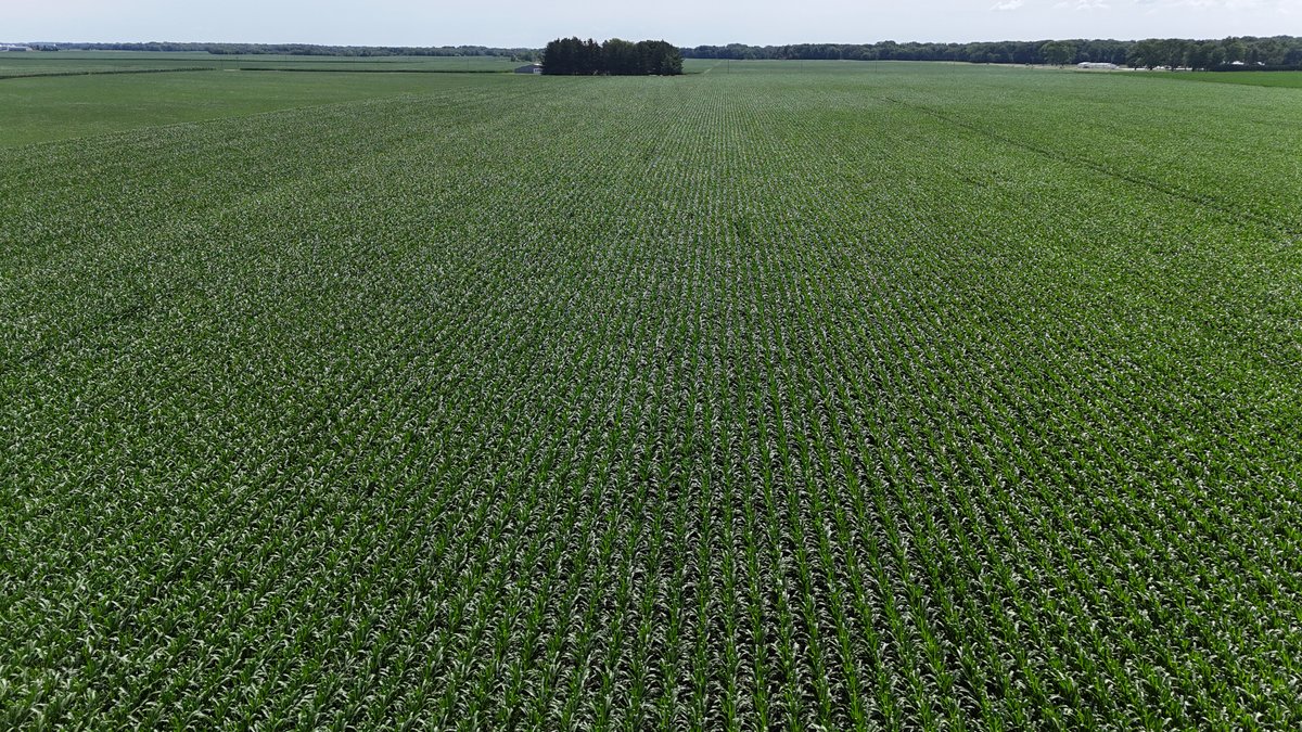 Image for 94.50± Acres Onarga Township, Iroquois County, IL