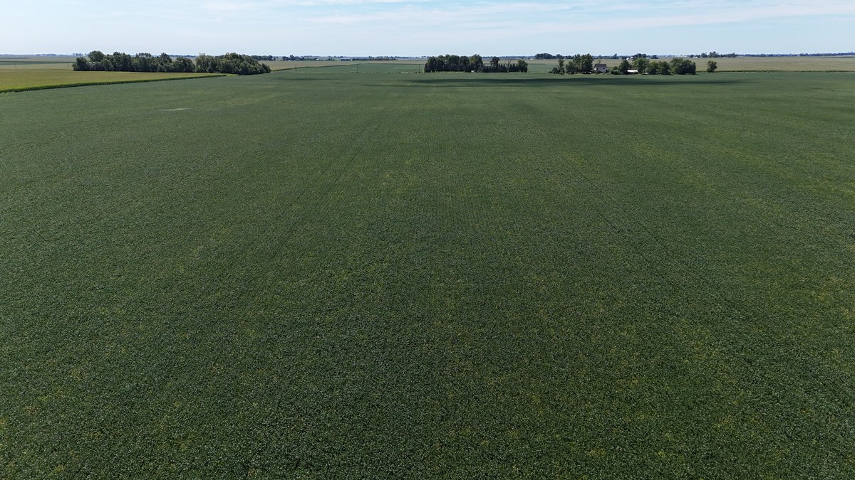 Image for 79.15± Acres Sumner Township, Kankakee County, IL