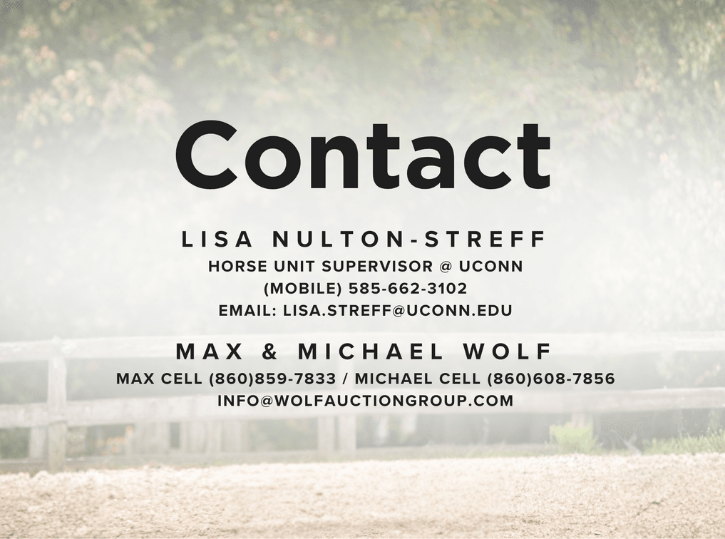 Contact